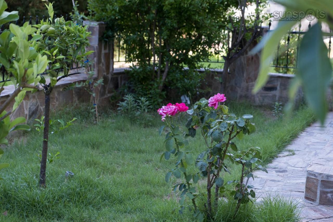 Villa Konstantina Petriti  Luaran gambar